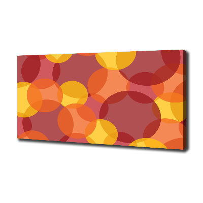 Schilderij op canvas Kleurrijke cirkels
