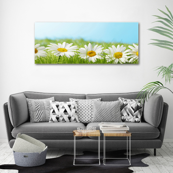Foto canvas Madeliefjes