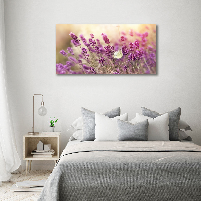 Foto op canvas Lavendel