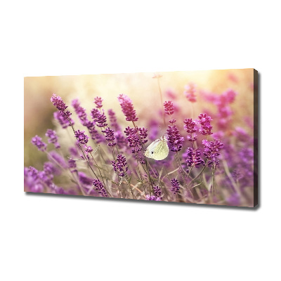 Foto op canvas Lavendel