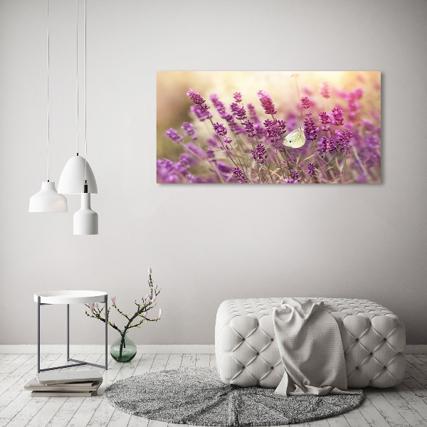 Foto op canvas Lavendel