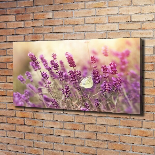 Foto op canvas Lavendel
