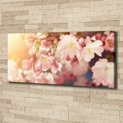 Canvas foto Kersenbloesems