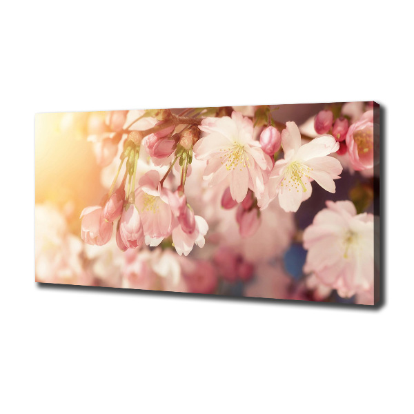 Canvas foto Kersenbloesems
