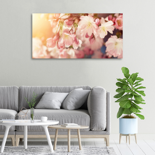 Canvas foto Kersenbloesems