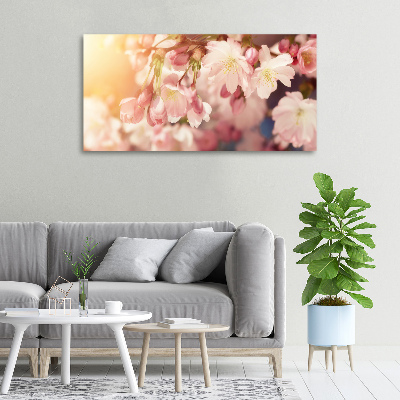 Canvas foto Kersenbloesems