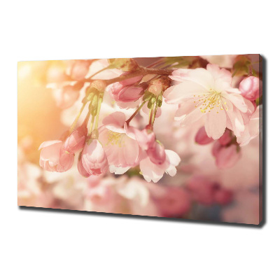 Canvas foto Kersenbloesems