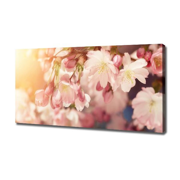 Canvas foto Kersenbloesems