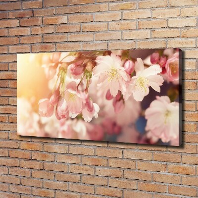Canvas foto Kersenbloesems