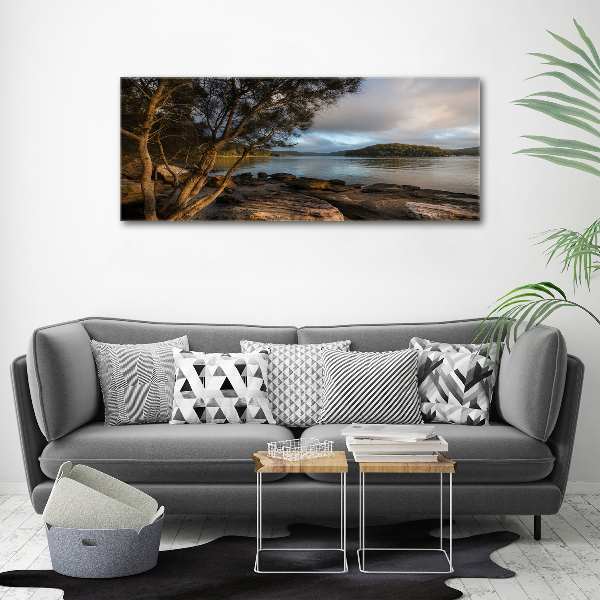 Canvas foto Een boom aan de rivier