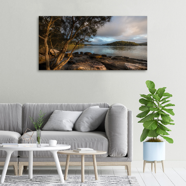 Canvas foto Een boom aan de rivier