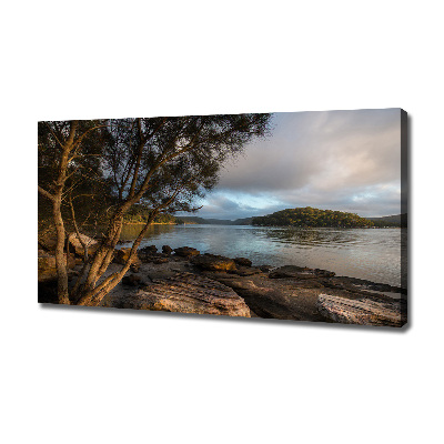 Canvas foto Een boom aan de rivier