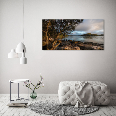Canvas foto Een boom aan de rivier