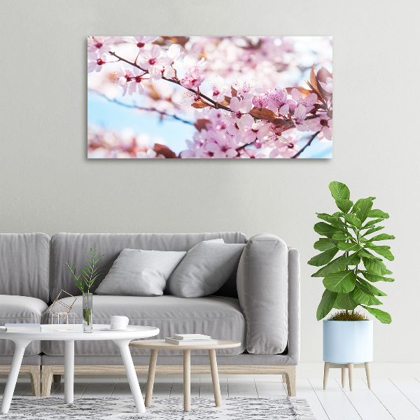 Schilderij op canvas Kersenbloesems
