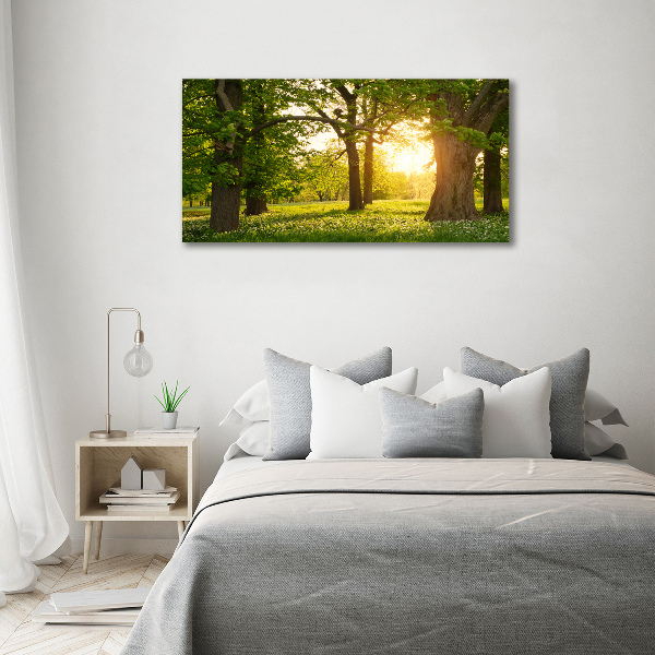 Canvas schilderij Bomen in het park