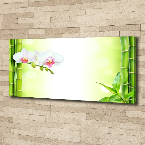 Foto canvas Orchidee en bamboe