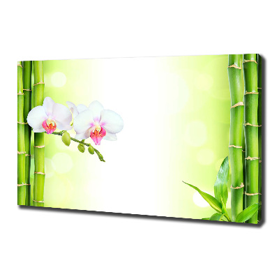 Foto canvas Orchidee en bamboe