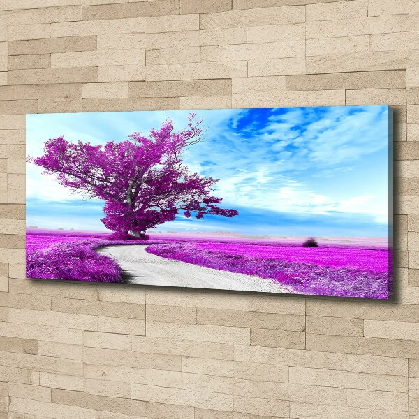 Foto op canvas Boom en pad