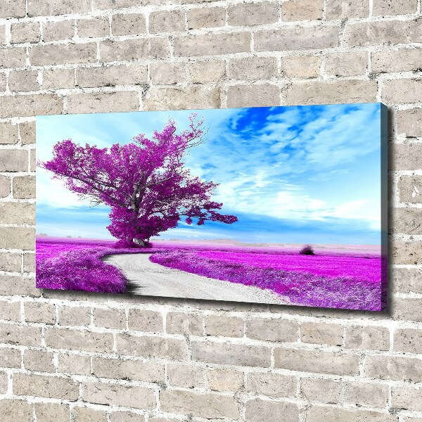 Foto op canvas Boom en pad