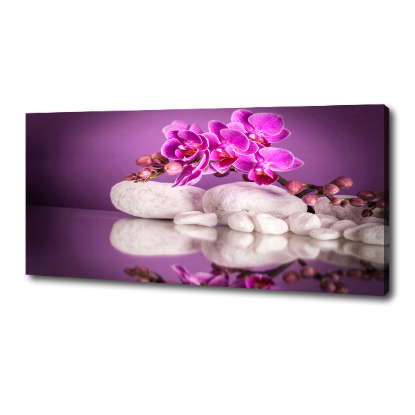 Canvas foto Roze orchidee