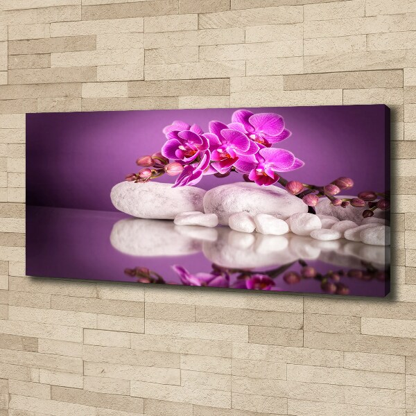 Canvas foto Roze orchidee