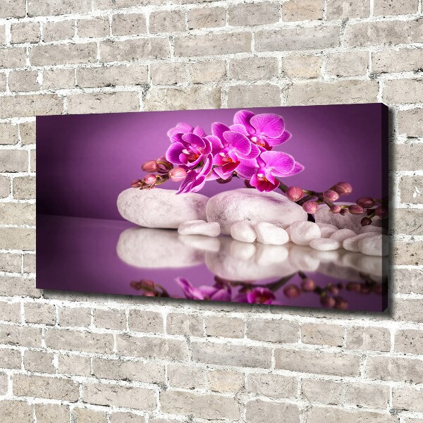 Canvas foto Roze orchidee