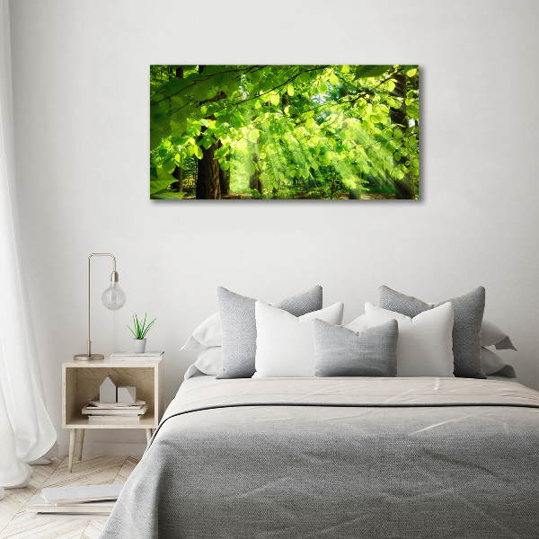 Foto op canvas Beukenbladeren