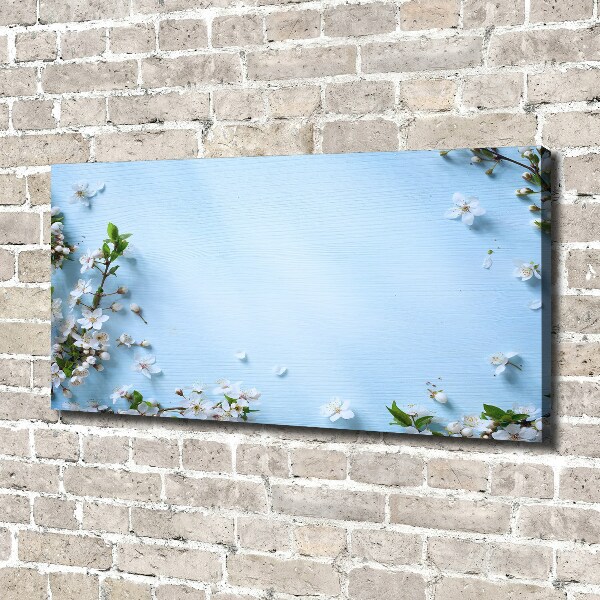 Foto canvas Achtergrond met kersenbloesems