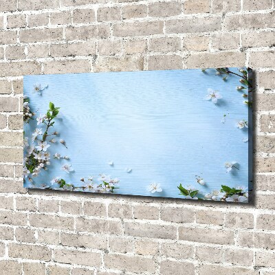 Foto canvas Achtergrond met kersenbloesems