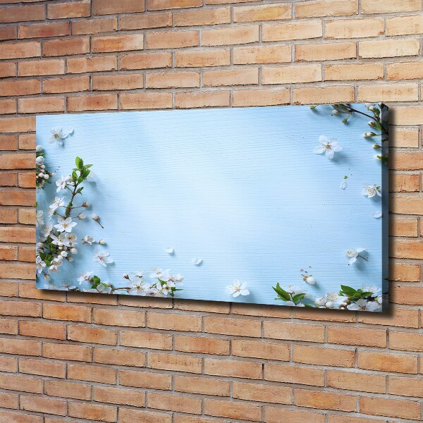 Foto canvas Achtergrond met kersenbloesems