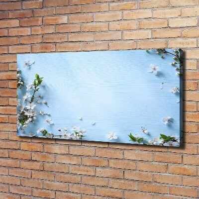 Foto canvas Achtergrond met kersenbloesems