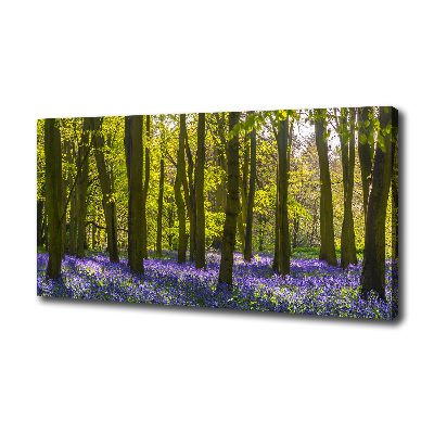 Foto op canvas Bos in de lente