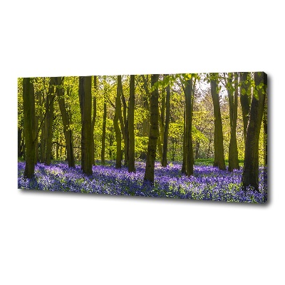 Foto op canvas Bos in de lente