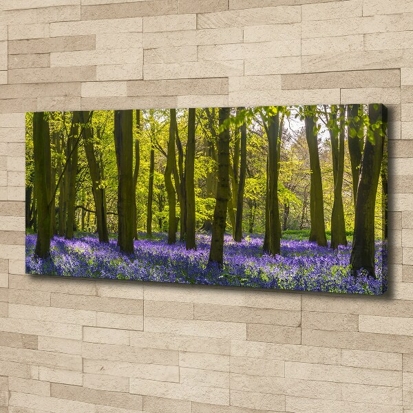 Foto op canvas Bos in de lente