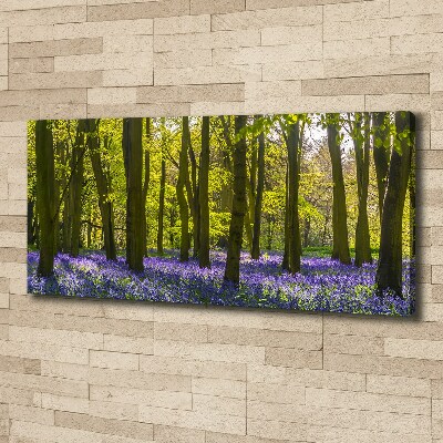 Foto op canvas Bos in de lente