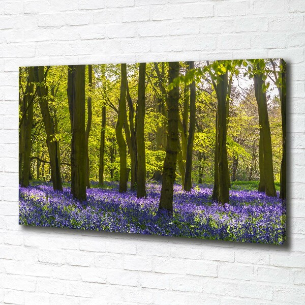 Foto op canvas Bos in de lente