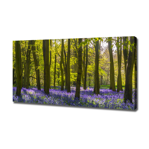 Foto op canvas Bos in de lente
