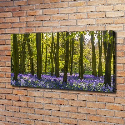 Foto op canvas Bos in de lente
