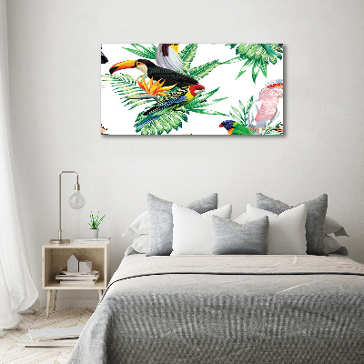 Canvas schilderij Tropische vogels