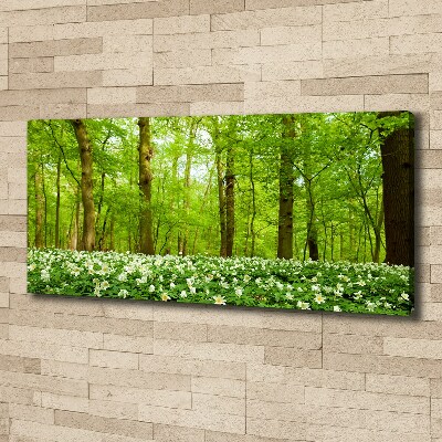 Canvas foto Bloemen in het bos