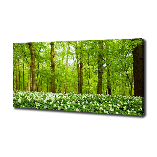 Canvas foto Bloemen in het bos