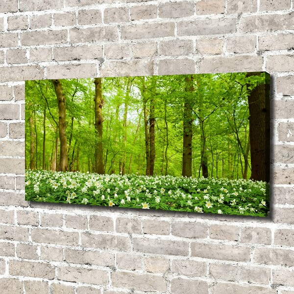 Canvas foto Bloemen in het bos