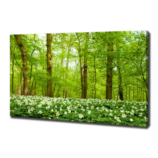 Canvas foto Bloemen in het bos