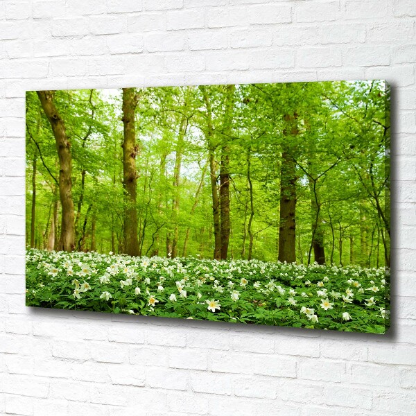 Canvas foto Bloemen in het bos