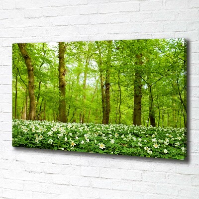 Canvas foto Bloemen in het bos