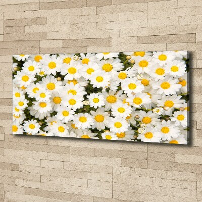 Schilderij op canvas Madeliefjes