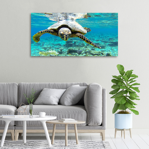 Foto op canvas Zeeschildpad