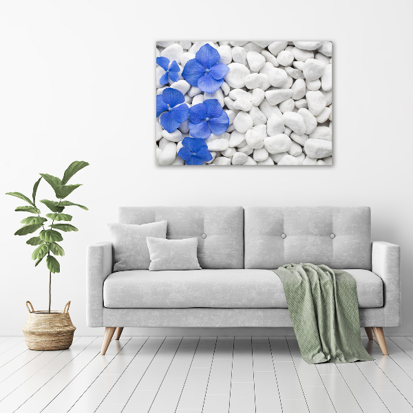 Canvas schilderij Hortensia