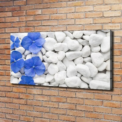 Canvas schilderij Hortensia
