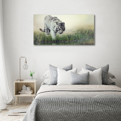Canvas foto Witte tijger